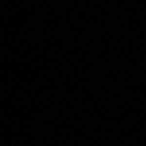 Meet your Posher, Shaun